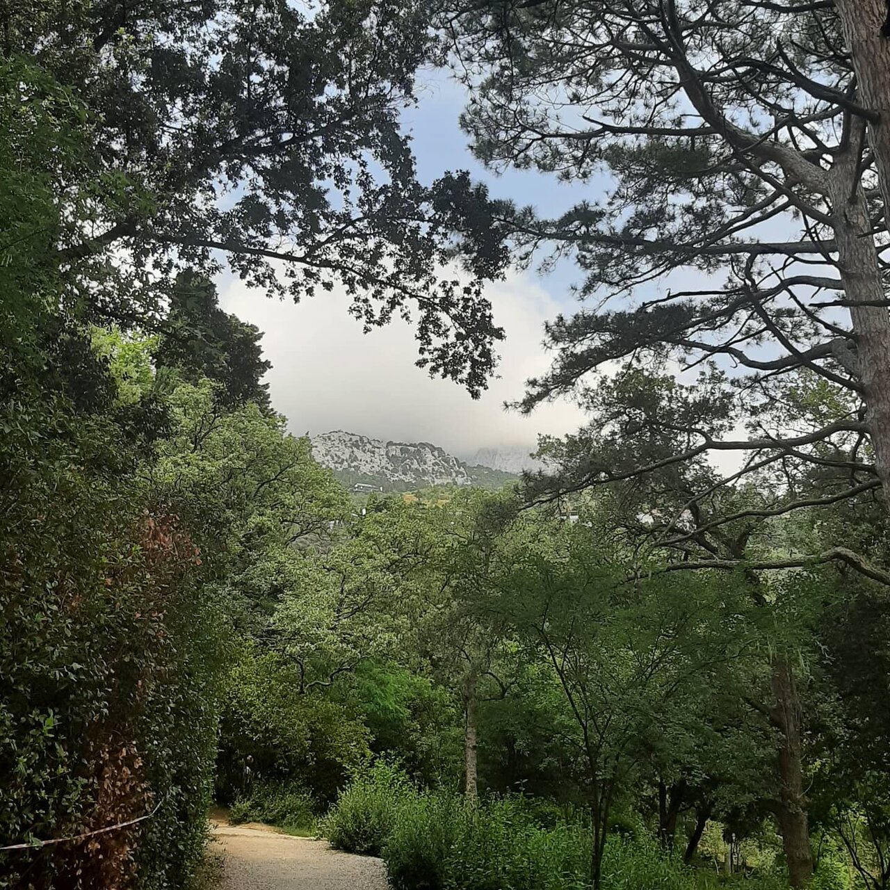 Гостевой дом Усадьба у графского парка Алупка-97