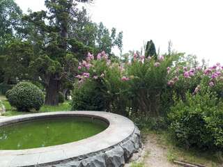 Гостевой дом Усадьба у графского парка Алупка-4