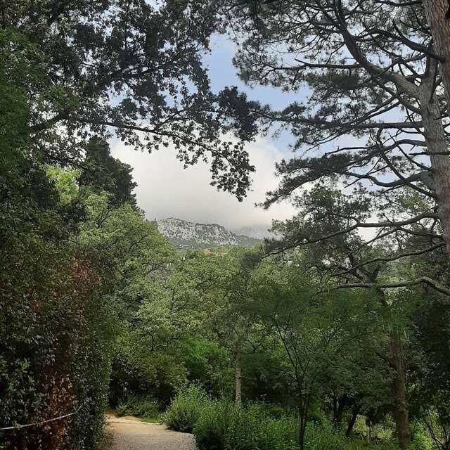 Гостевой дом Усадьба у графского парка Алупка-96